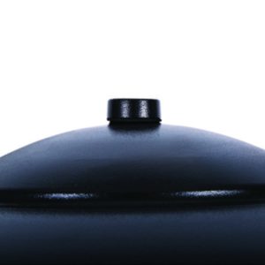 Outdoor Lighting - Public - PERSEUS HID PT